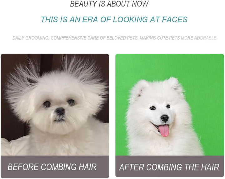 Lice Comb, 4 Pieces Lice Combs, Flea Comb, Plastic Double Sided Lice Combs, Fine Toothed Lice Comb, Cat and Dog Grooming Comb, for Removing Flea and Lice