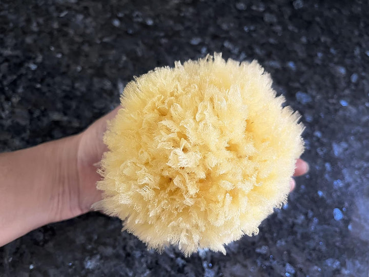 Real Sea Sponges for Babies - 6 Pk Bath Care Set, Gentle, Kind on Skin, for Bathing Washing Body Eyes, Ears Nose, Also for Newborn Toddler Kids; Baby Shower Spa Gift by