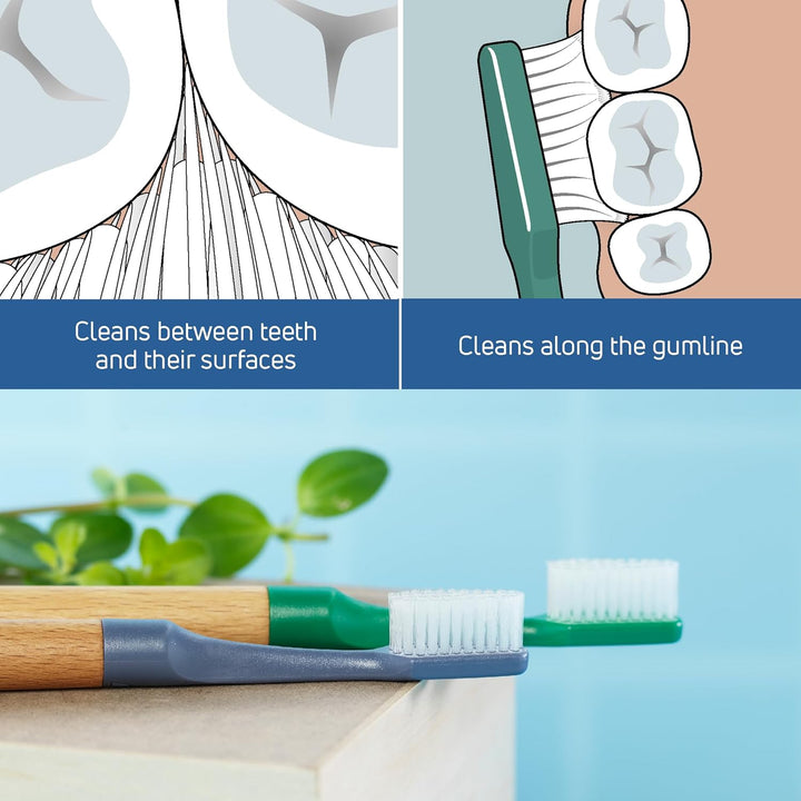 Choice Toothbrush, Soft, Green, 1Pc, Wooden Handle, 3Pcs Brush Heads, Soft Bristle Toothbrush, Good for Teeth Cleaning and Plaque Removal