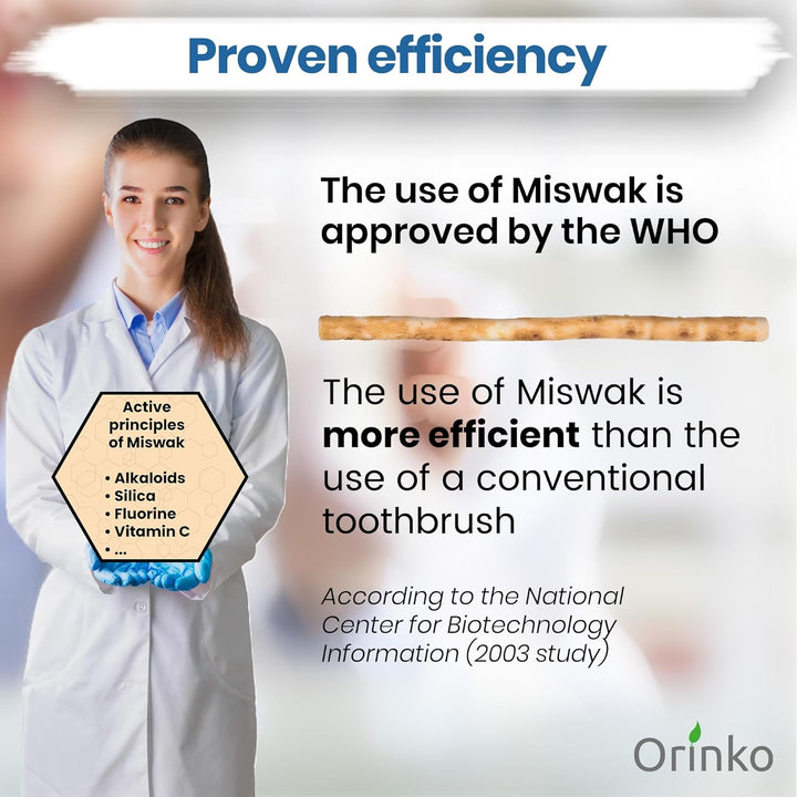 Premium Natural Miswak Sticks for Oral Hygiene - Organic Chewable Siwak Toothbrush - Fresh Breath - Eco-Friendly Wooden Dental Stick - Pack of 2 -