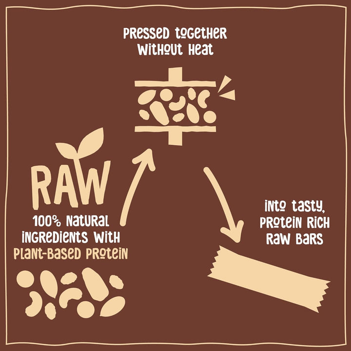 Cocoa Hazelnut Protein Bar - Vegan - Gluten Free - Healthy Snack, 45G (Pack of 36 Bars)