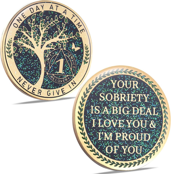 24 Hours, 1/2 Yearsobriety Chip, Tree of Life Recovery Coin, AA Recovery Medallion, Anniversary Token Sobriety Gifts, Alcoholics Anonymous Medallion (1 Year)