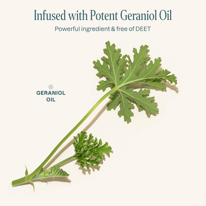 10 Pack Mosquito Repellent Bracelets, Deet-Free Bands, Individually Wrapped