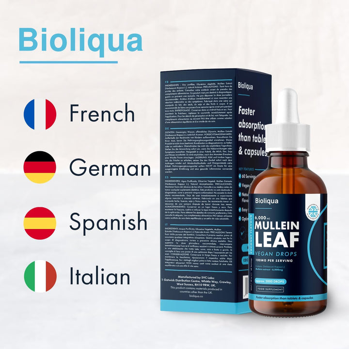 Mullein Leaf Liquid Drops - 60Ml - 2 Month Supply - High Strength - Vegan - 60 Servings - Premium Mullein Leaf Extract - 6,000Mg per Bottle - Fast Absorption - UK Made by Balance (1X Pack)