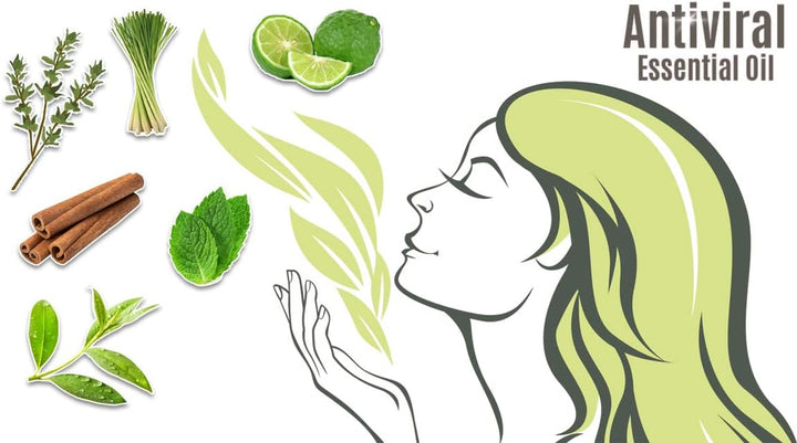 Antiviral Lungs & Airways Remedy. the 6 Most Powerful Natural Virus Killing Essential Oils Blended to Combat Viruses, Bacteria, Bugs & Germs. Antibacterial. Steam, Spray, Inhale, Diffuser & Bath.