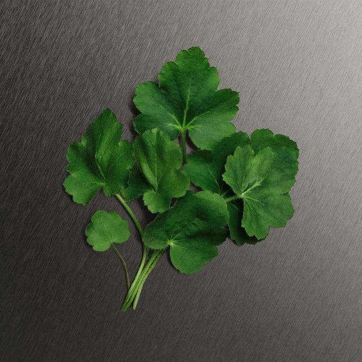 CALVIN KLEIN Eternity - after Shave for Men - Woody-Aromatic Fragrance - Nourishes and Cools after Shaving - 100 Ml