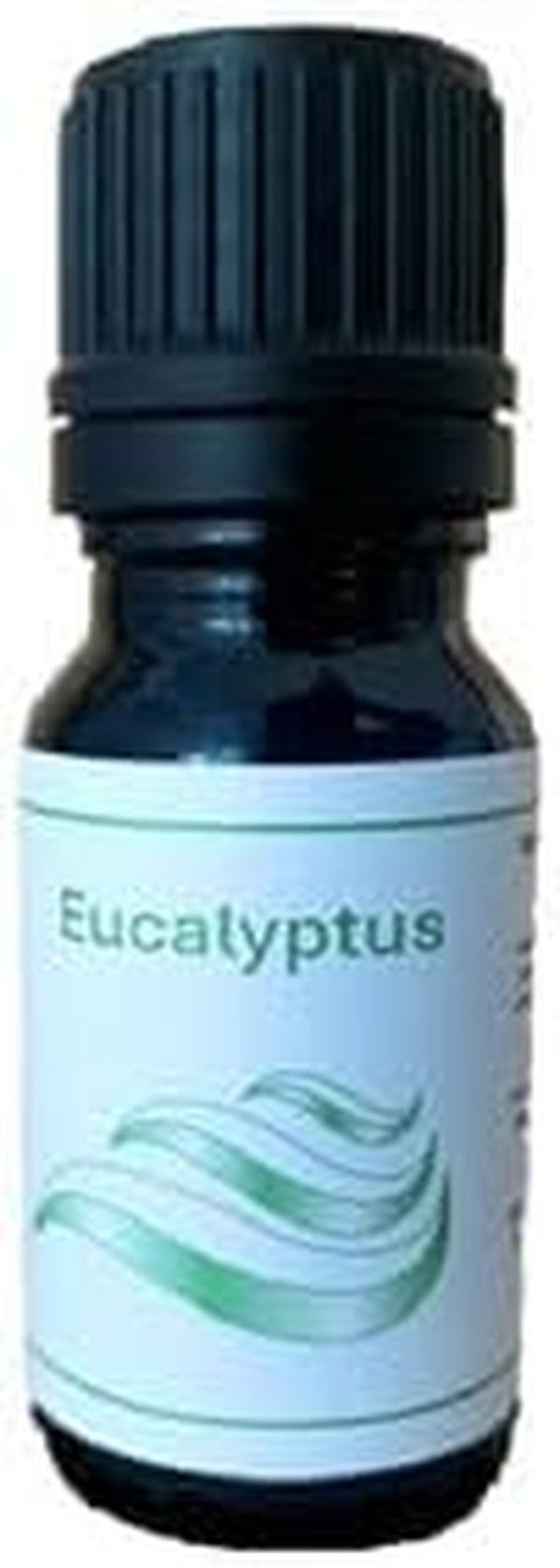 Sauna and Steam Room Fragrance Concentrate Oil 10Ml for Dilution in Water