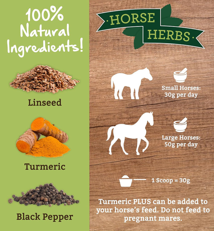 Turmeric plus 1Kg Bag | Natural Feed Supplement for Horses & Ponies, Black Pepper, Micronised Linseed, Equine Care, Pony Boost