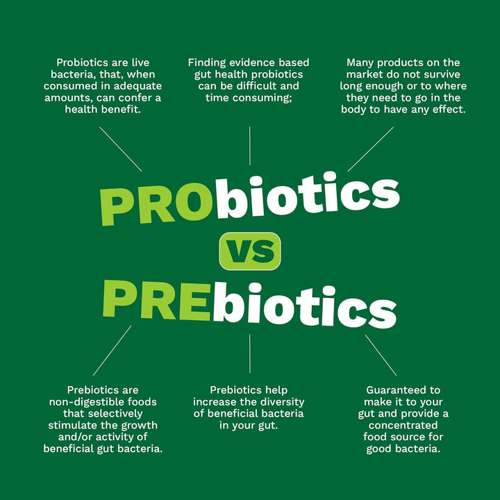 Prebiotic Fibre Complex for Gut Health by  – Probiotic Support, Digestive Wellness, Immune System Support – Magnesium for Anxiety, Mood & Energy – 30 Servings