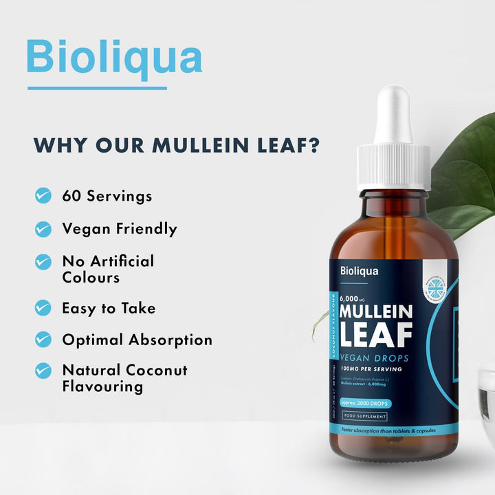 Mullein Leaf Liquid Drops - 60Ml - 2 Month Supply - High Strength - Vegan - 60 Servings - Premium Mullein Leaf Extract - 6,000Mg per Bottle - Fast Absorption - UK Made by Balance (1X Pack)