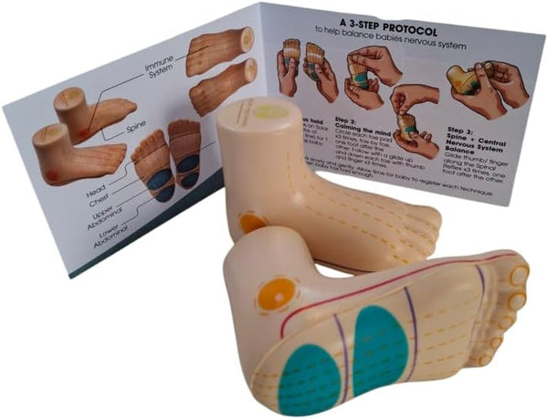 Baby Reflexology Model Feet
