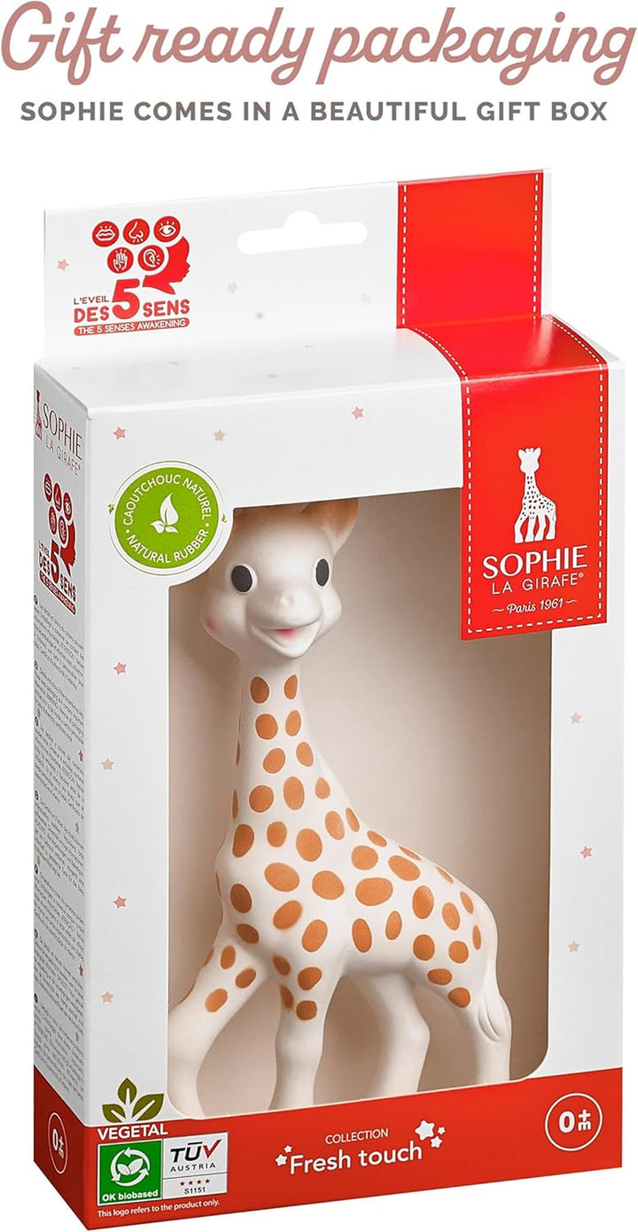 Baby Teether – 100% Natural Rubber Teething Toy – Handmade in France – Bpa-Free, Non-Toxic, Vegan, Sensory Stimulating Teether for Newborns 0+ Months