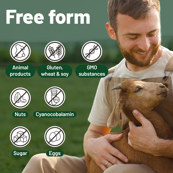 Vegan Multivitamins & Minerals with High Strength Vitamin B12, D3 & K2. 180 Multivitamin Tablets - 6 Months Supply. Designed for Vegans & Vegetarians.