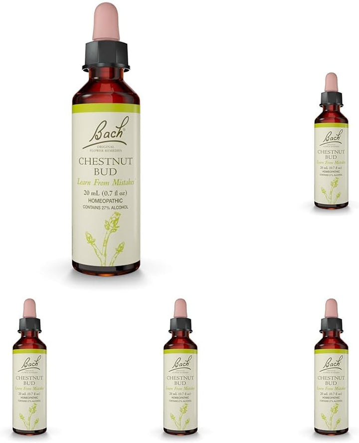 Original Flower Remedies (Wild Rose) Live the Day, Show Enthusiasm, Emotional Wellness, Natural Flower Essence, 20Ml