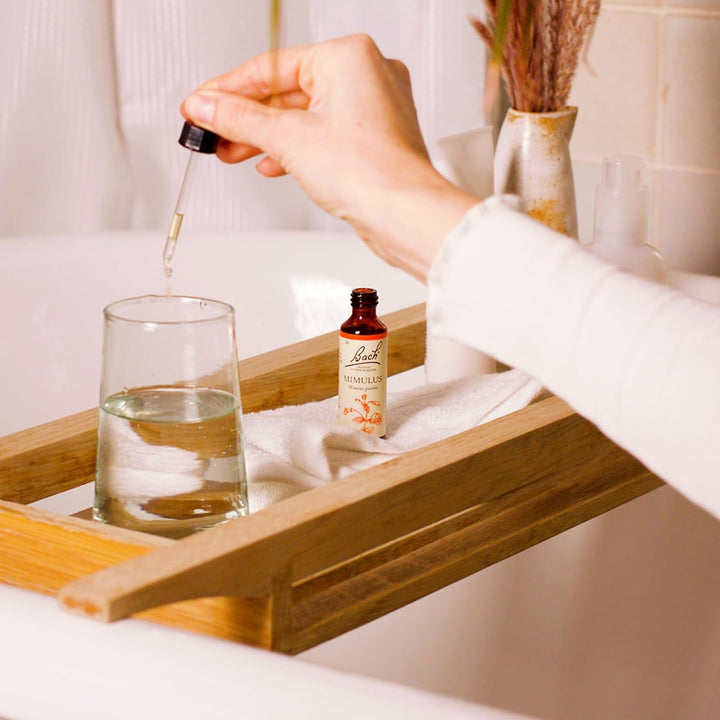 Bach Original Flower Remedies (Willow) Find Joy & Hope, Forgive & Forget, Emotional Wellness, Natural Flower Essence, 20Ml