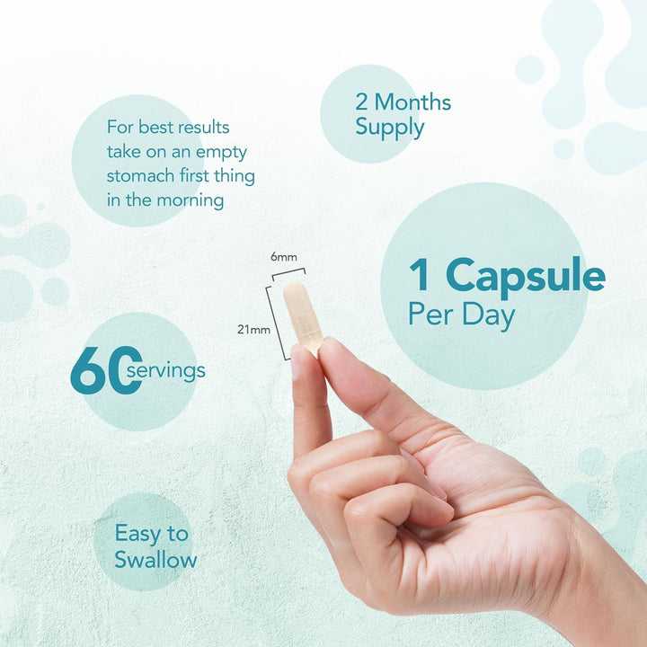 Probiotic 6 Billion CFU with Prebiotic, Multi Strain Probiotics with 5 Strains Including Lactobacillus Acidophilus, 60 Vegetarian Capsules for Women & Men, 2 Month Supply