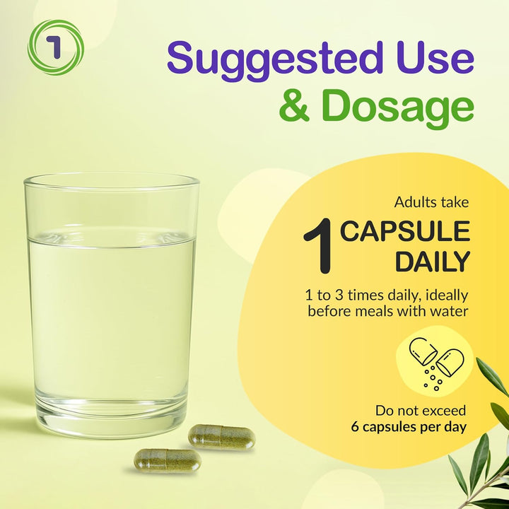 Saccharomyces Boulardii Probiotic – 90 Capsules | 5 Billion Friendly Bacteria with Olive Leaf, Biotin & Vitamin D | Natural Yeast Supplement for Gut Balance & Immune Support | UK Made by