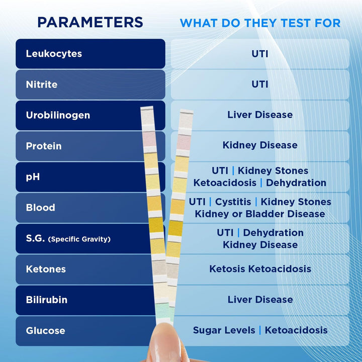 100 X 10-In-1 Parameter Urine Test Strips | Glucose, Ketone, Bilirubin, Nitrite, Urobilinogen, Protein, Ph, Blood, Specific Gravity and Leukocytes Dipstick Tests