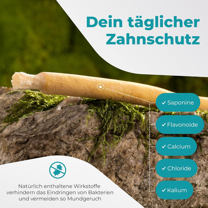 Miswak Toothbrush from  - Siwak SWAK, Traditional Arabian Toothbrush, Wooden Toothbrush, for Natural White Teeth, 5Pcs