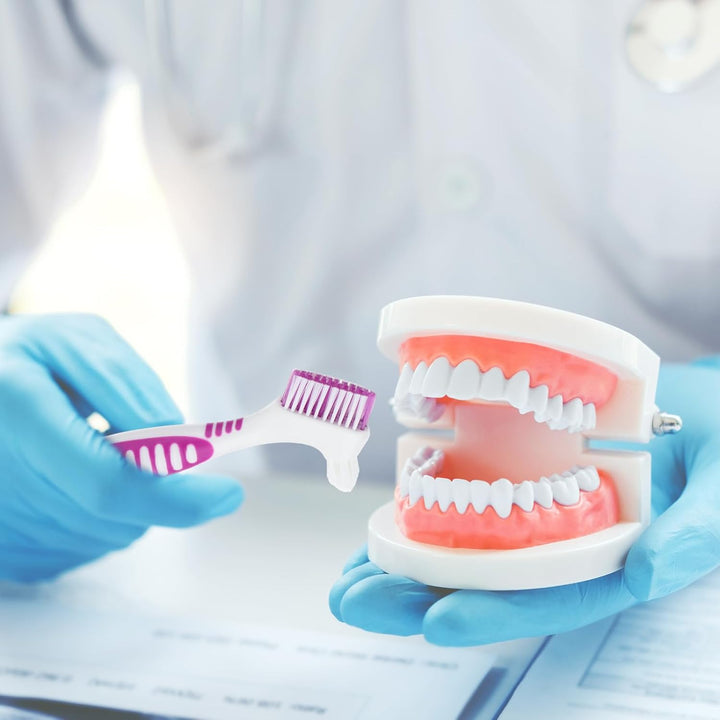 2Pcs Denture Cleaning Brush Set, Denture Toothbrushes, Denture Cleaning Care Brush with White Carrying Case, Multi-Layered Bristles & Ergonomic Rubber Handle for Denture Clean Care (Green&Purple)