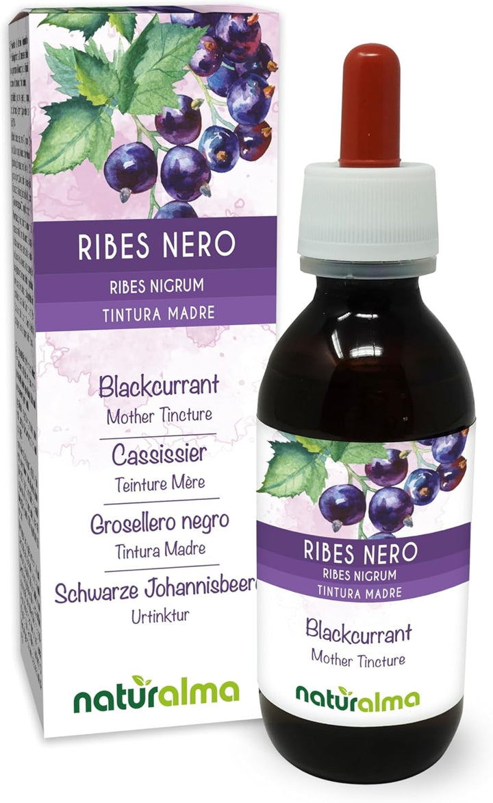 Blackcurrant (Ribes Nigrum) Leaves and Fruits Alcohol-Free Mother Tincture  - Liquid Extract Drops 60 Ml - Food Supplement - Vegan