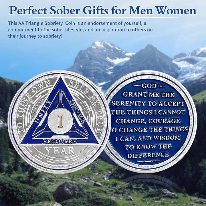 1 Year Sobriety Chips AA Coin Alcoholics Anonymous Medallion Sobriety Gifts for Men Women Recovery Chip Anniversary Token