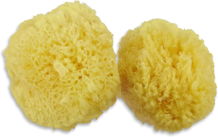 Real Sea Sponges for Babies - 6 Pk Bath Care Set, Gentle, Kind on Skin, for Bathing Washing Body Eyes, Ears Nose, Also for Newborn Toddler Kids; Baby Shower Spa Gift by