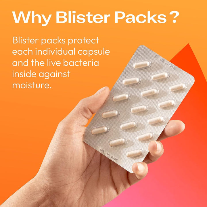 Everyday Multi-Strain Formulation Probiotics for Digestive System, 60 Capsules (Pack of 1)