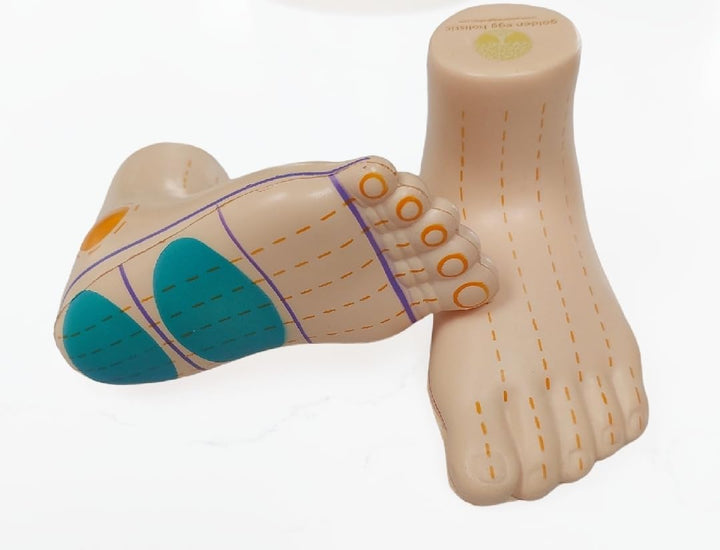 Baby Reflexology Model Feet
