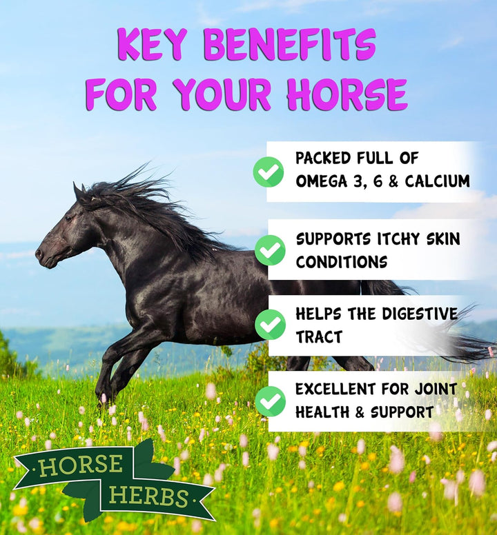 Turmeric plus 1Kg Bag | Natural Feed Supplement for Horses & Ponies, Black Pepper, Micronised Linseed, Equine Care, Pony Boost