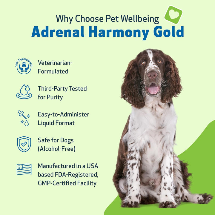 - Adrenal Harmony Gold for Dogs- Natural Support for Adrenal Dysfunction and Cushing'S - 2 Ounce (59 Milliliter)