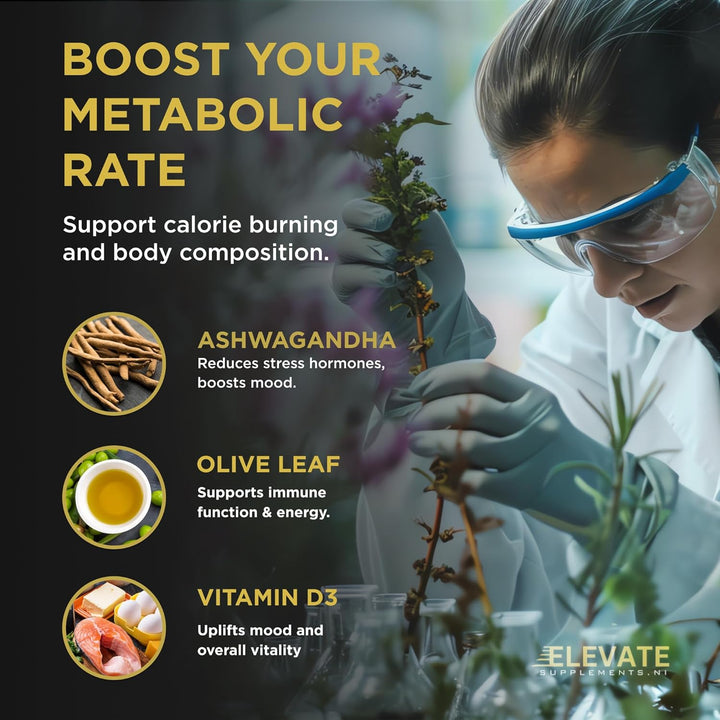Elevate Supplements Thyroid & Metabolism Support, 30 Capsules | Advanced Thyrogenic Formula to Help Regulate Weight Management, Energy & Hormone Balance | Vitamins, Minerals, L-Tyrosine & Ashwagandha
