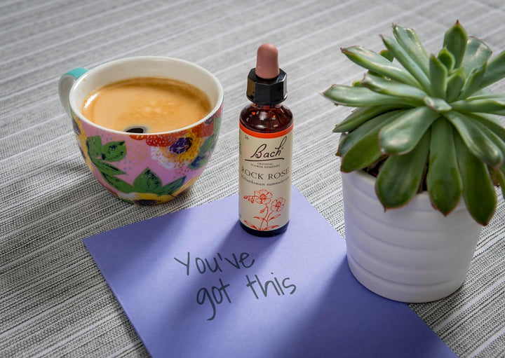 Original Flower Remedies (Rock Rose) Face Your Fears, Be Fearless, Emotional Wellness, Natural Flower Essence, 20Ml