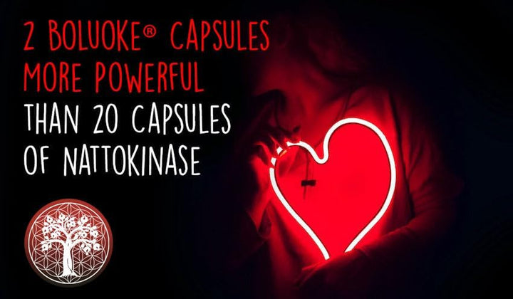 Boluoke (Lumbrokinase) 30 Capsules