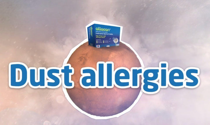 6 Months Supply Allacan Cetirizine Hayfever Allergy Tablets 30 X 6