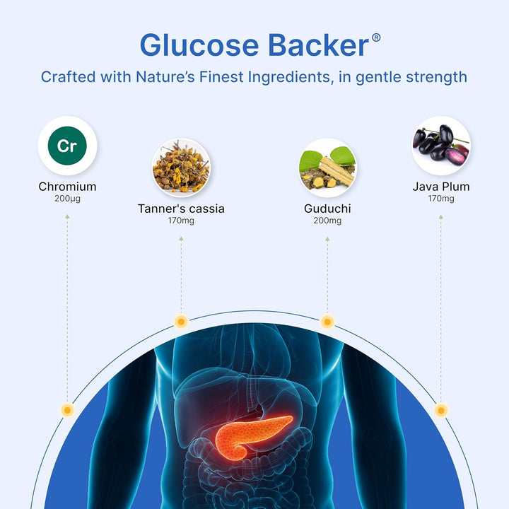 Blood Sugar Support Capsules – with Chromium Picolinate, Cassia & Tinospora – Supports Healthy Glucose Metabolism & Energy Balance – 30 Capsules