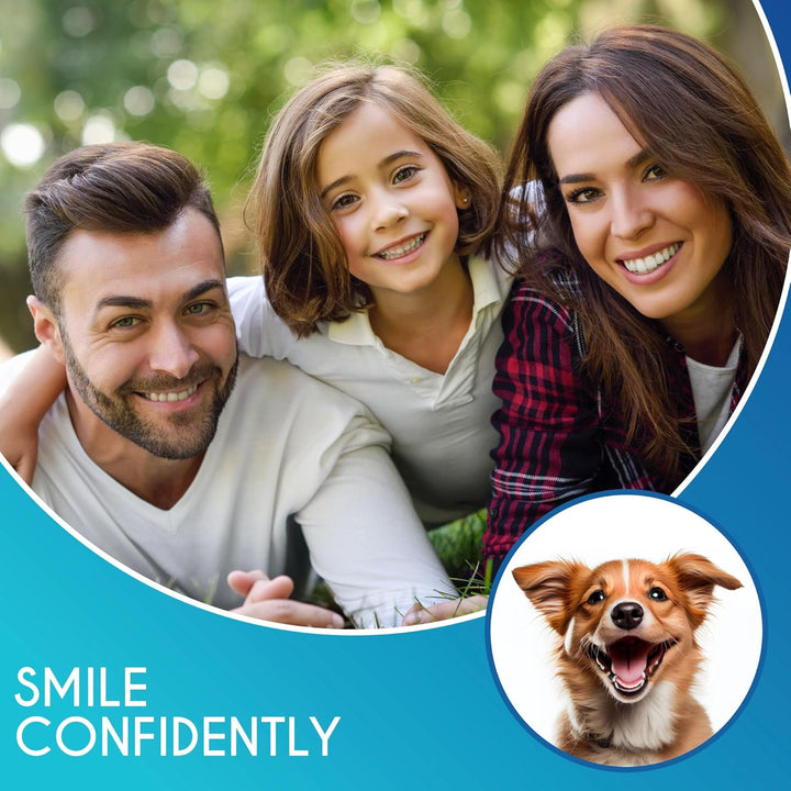 Plaque Remover for Teeth 4Pc Tooth Cleaning Kit with Tartar and Calculus Removal Dental Care Set Stainless Steel Dentist Tools for Personal and Home Use