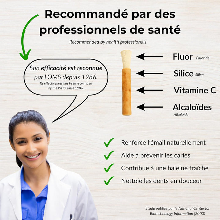 Set of 3 Natural Siwaks + 1 Case - Eco Friendly Toothbrush - Salvadora Persica Wood - Pakistan Origin - Zero Waste