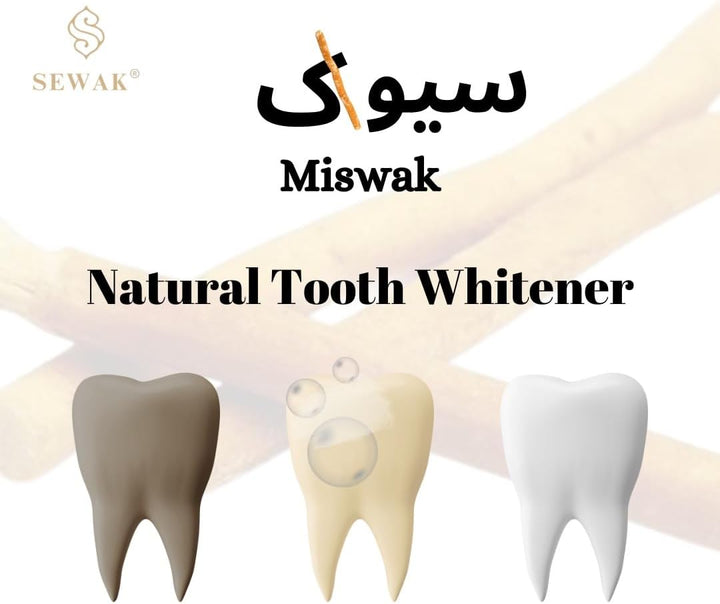 Miswak Sticks for Teeth |  Natural Toothbrush | Siwak Organic Wooden Tooth Brush Oral Teeth Whitener with Holder | Vacuum Sealed (10 Pack)