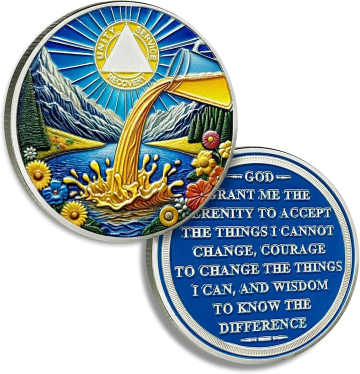 2 Months Sobriety Coin Farewell Alcohol Sobriety Chip Alcoholics Anonymous Medallion Sun Chips AA Chips and Medallion Serenity Prayer Coin Recovery Coins Anniversary Token Sober Gifts for Men Women