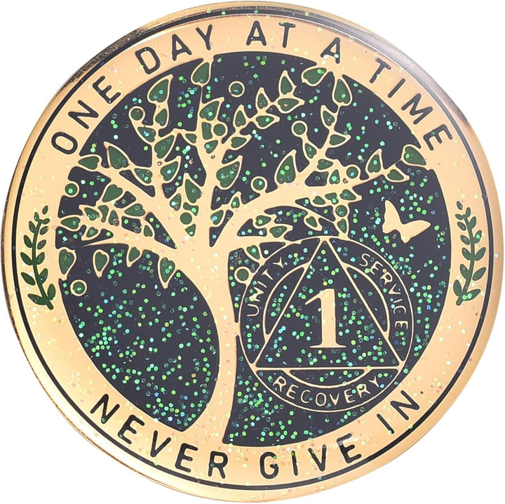 24 Hours, 1/2 Yearsobriety Chip, Tree of Life Recovery Coin, AA Recovery Medallion, Anniversary Token Sobriety Gifts, Alcoholics Anonymous Medallion (1 Year)