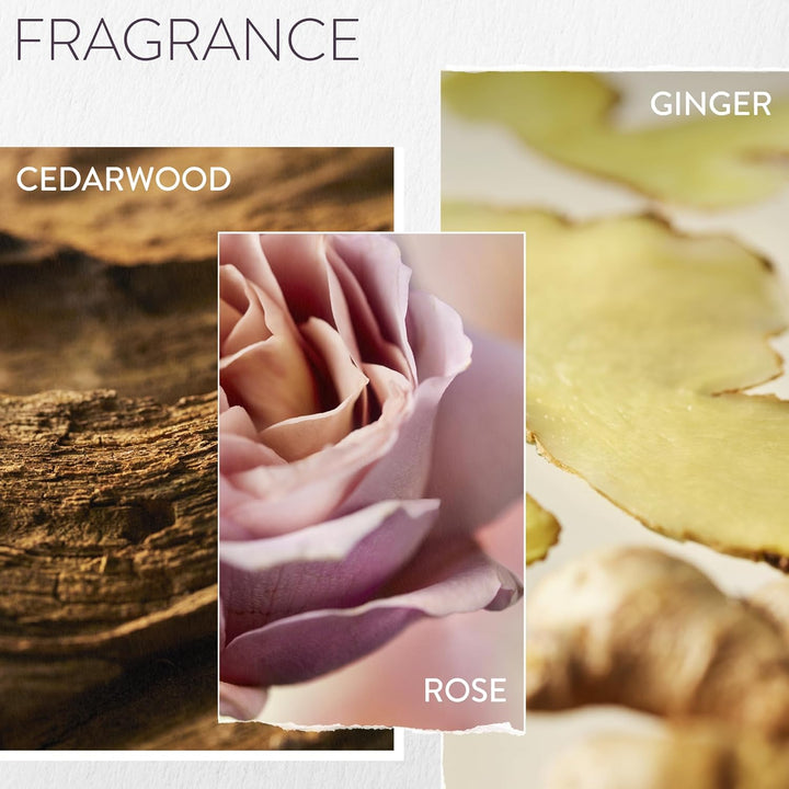 Pureology Color Fanatic, Multi-Tasking Spray, 21 Benefits, Primes, Perfects & Protects Colour-Treated Hair, Leave in Conditioner Spray, Vegan Formulas, Sulphate Free for a Gentle Cleanse, 200 Ml