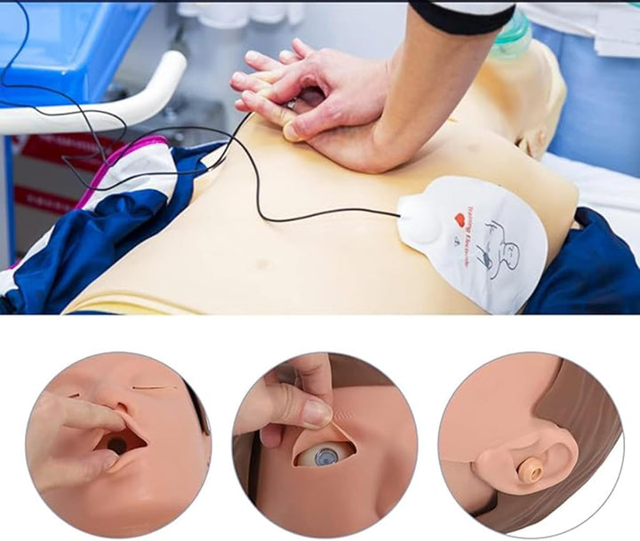 CPR Manikin for Adults, Cardiopulmonary Resuscitation Training Manikin Rubber Half Body, Artificial Ventilation Human Model A